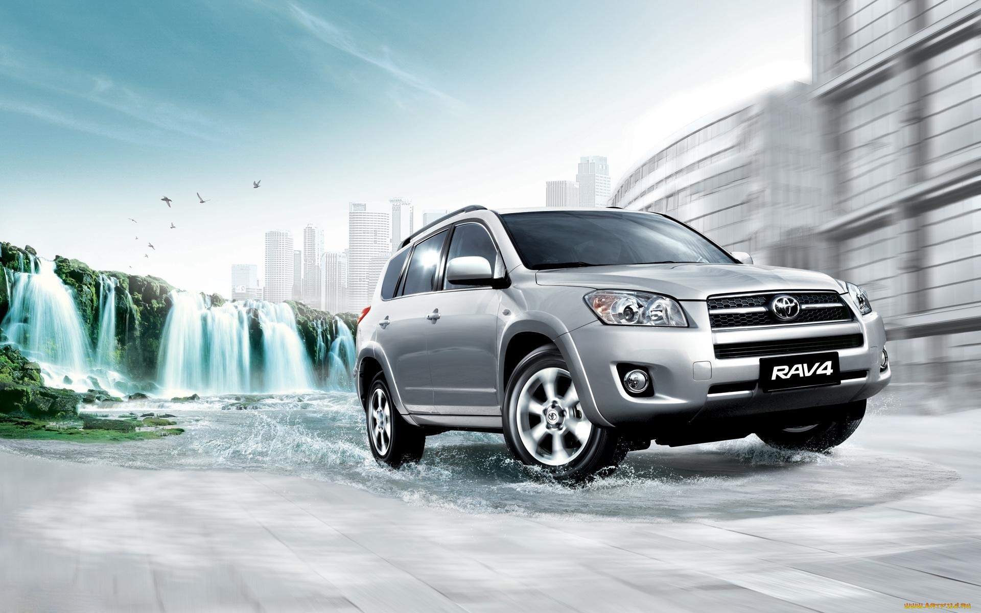 , toyota